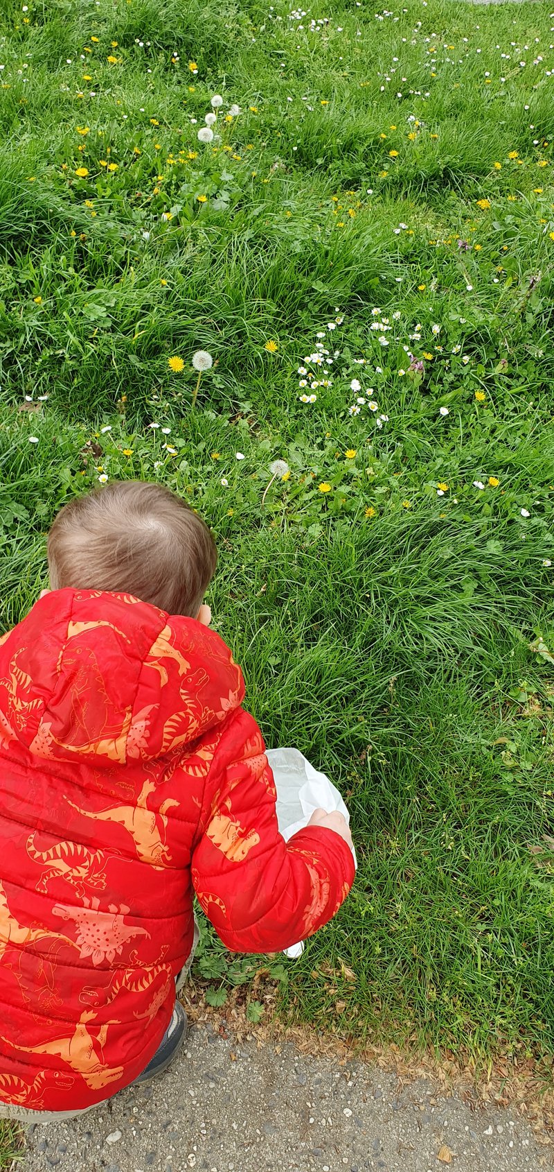 wildbienenretter im einsatz